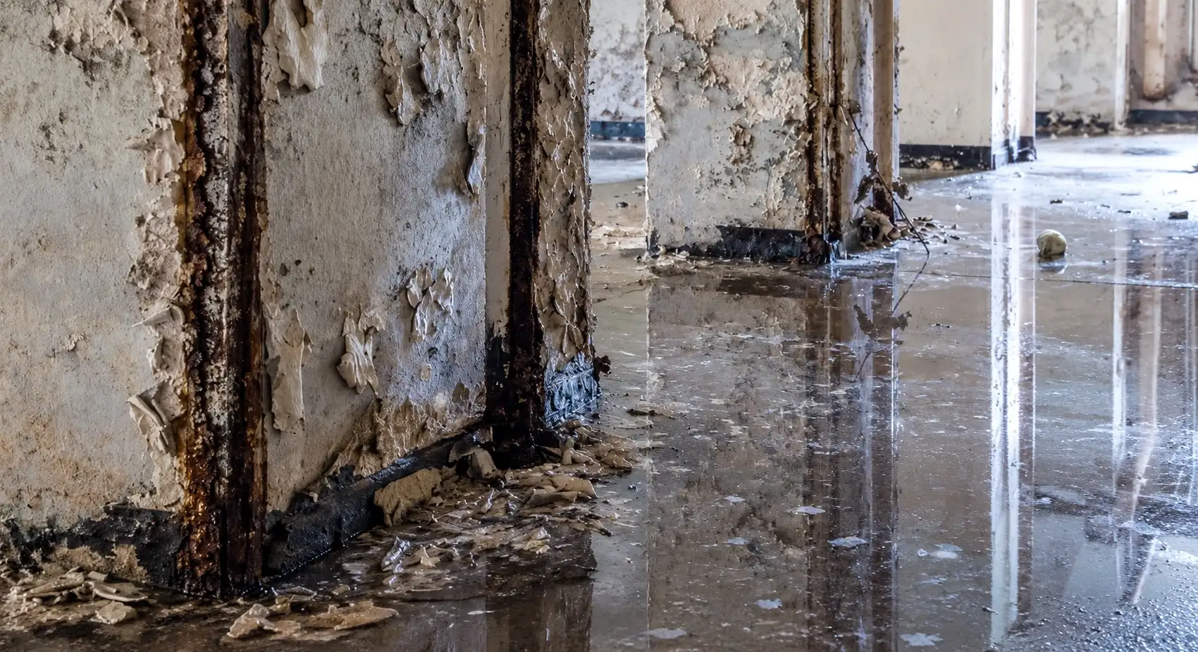 Peeling paint, rusted steel and standing water where water was left to sit after a flood